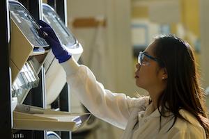 Author Profiles image featuring a lab worker inspecting samples